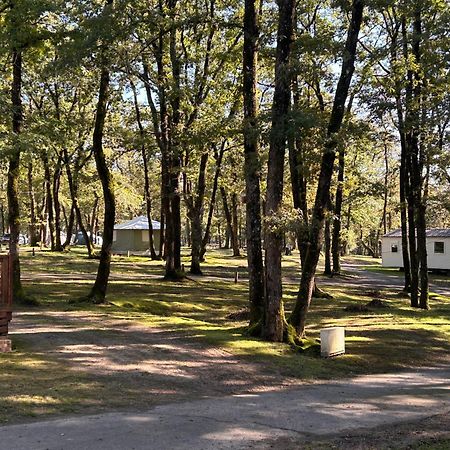 Camping Les Petites Minaudieres Coussay-les-Bois Exterior photo